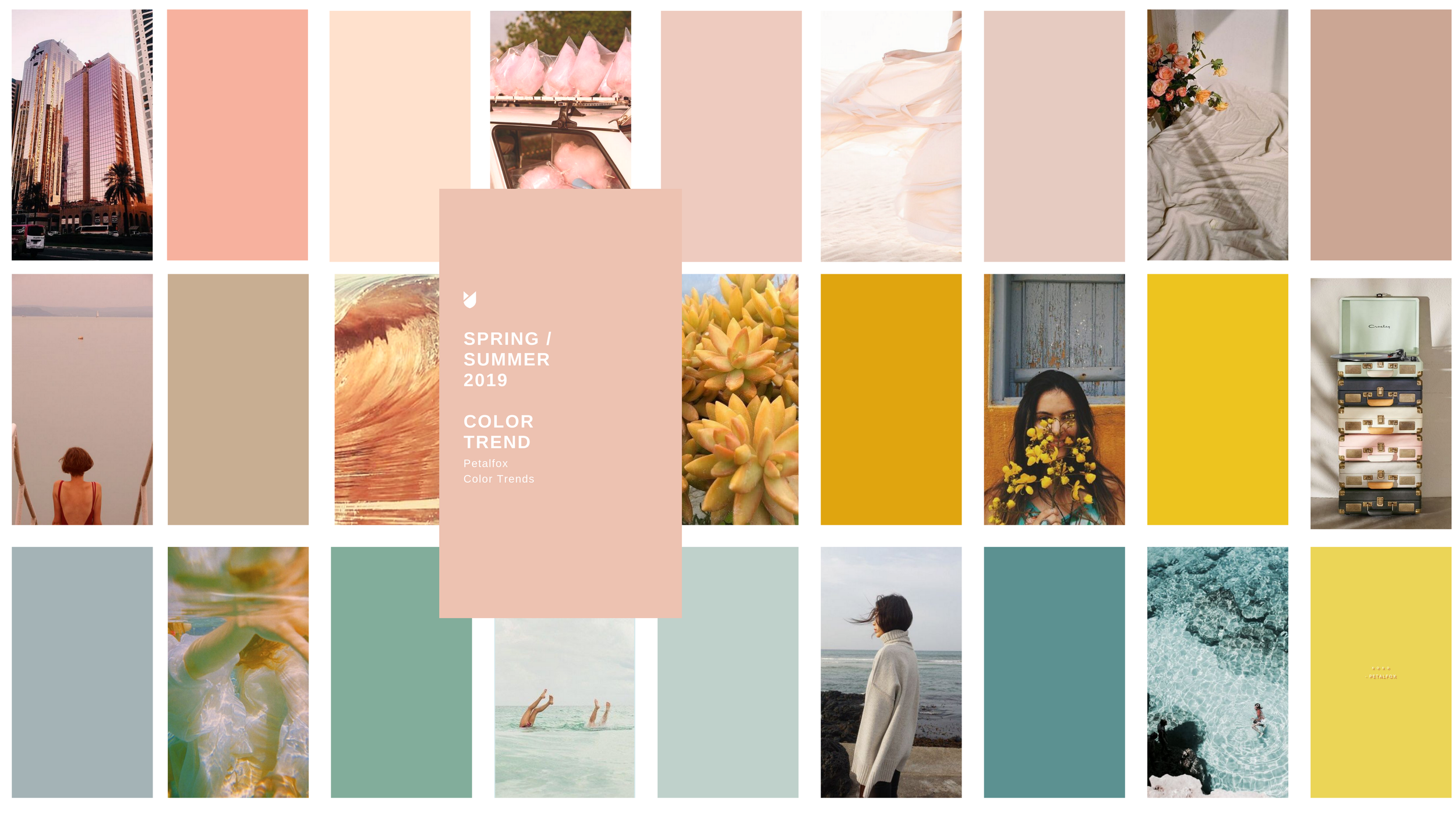 Petalfox color trend moodboard: grid of blush, ochre and teal swatches interleaved with lifestyle photography